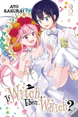 Capa do artigo If Witch, Then Which?, Vol. 3