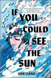 Capa do artigo If You Could See the Sun