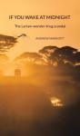 If You Wake At Midnight - Preview