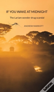 Capa do artigo If You Wake At Midnight