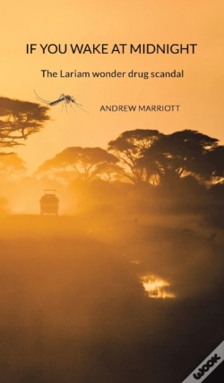 Capa do artigo If You Wake At Midnight