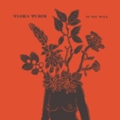 Capa do artigo If You Will - CD