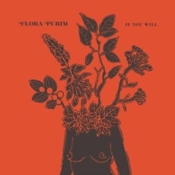 Capa do artigo If You Will - CD