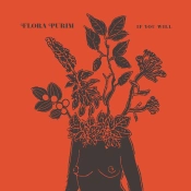 Capa do artigo If You Will - Vinil