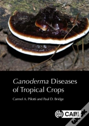 Capa do artigo <I>Ganoderma</I> Diseases Of Tropical Crops