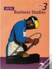 Capa do artigo Igcse Business Studies Module 3