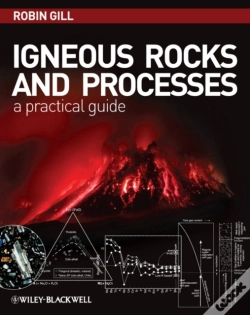 Capa do artigo Igneous Rocks And Processes