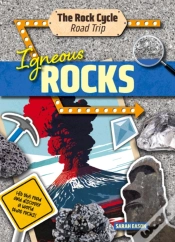 Capa do artigo Igneous Rocks
