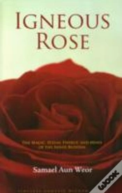 Capa do artigo Igneous Rose