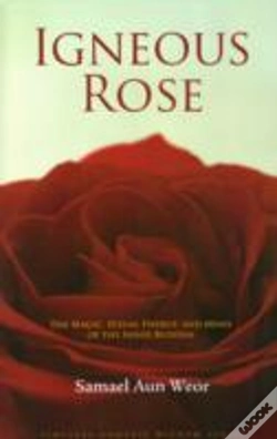 Capa do artigo Igneous Rose