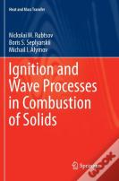 Ignition And Wave Processes In Combustion Of Solids