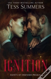 Capa do artigo Ignition