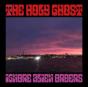 Ignore Alien Orders - Vinil - Preview