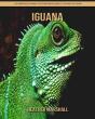 Iguana - Preview