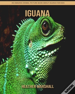 Capa do artigo Iguana