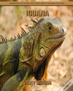 Capa do artigo Iguana