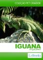 Iguana - Preview