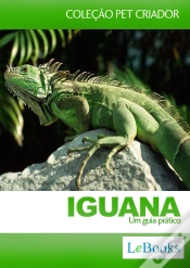 Capa do artigo Iguana