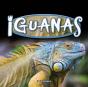 Iguanas - Preview