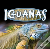 Capa do artigo Iguanas