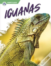 Iguanas