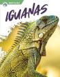 Iguanas - Preview