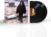 Capa do artigo II - Vinil