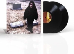 Capa do artigo II - Vinil