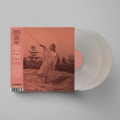 Capa do artigo II - Vinil