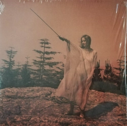 Capa do artigo II - Vinil
