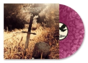 Capa do artigo III - Vinil