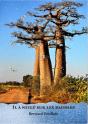 Il A Neige Sur Les Baobabs - Preview