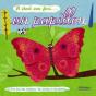Il Etait Une Fois...Un Papillon - Preview