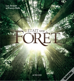 Capa do artigo Il Était Une Forêt