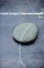 Il Faut Rester Tranquille - Preview