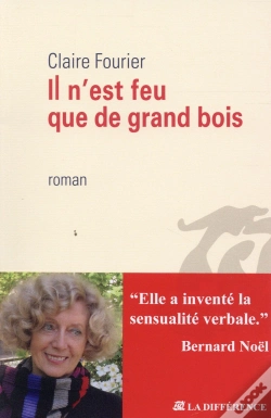 Capa do artigo Il N'Est Feu Que De Grand Bois