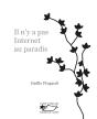 Il N'Y A Pas Internet Au Paradis - Preview