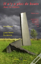 Capa do artigo Il N