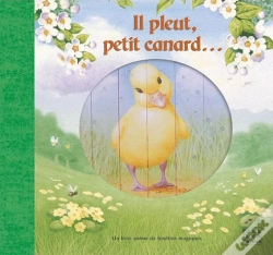 Capa do artigo Il Pleut Petit Canard...