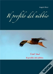Capa do artigo Il Profilo Del Nibbio