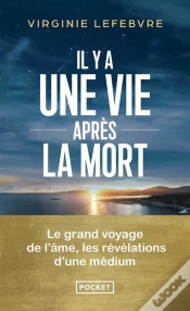 Capa do artigo Il Y A Une Vie Après La Mort : Le Grand Voyage De L