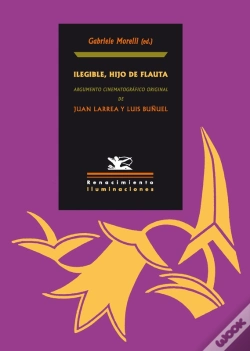 Capa do artigo Ilegible, Hijo De Flauta