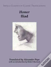 Capa do artigo Iliad