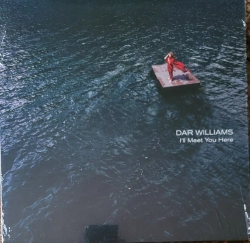 Capa do artigo I'll Meet You Here - Vinil