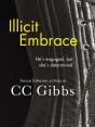 Illicit Embrace - Preview