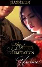 Illicit Temptation - Preview