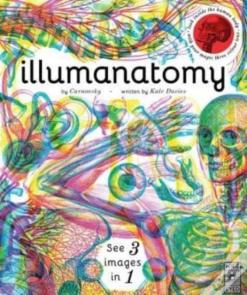 Illumanatomy