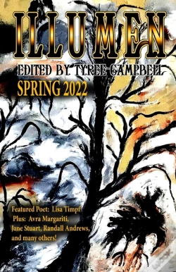 Capa do artigo Illumen Spring 2022