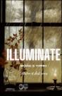 Illuminate - Preview