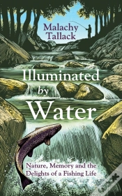 Capa do artigo Illuminated By Water